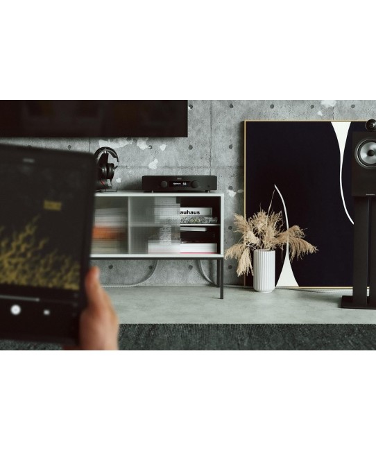 Hegel H95 Amplificatore integrato Streaming Audiophile Hegel - 5