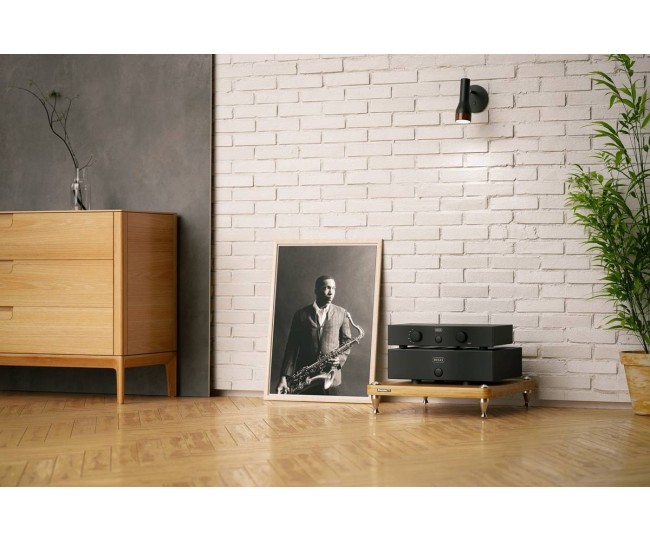 Hegel H20 Finale di potenza hifi Audiophile Hegel - 4