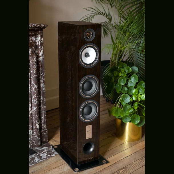 Triangle Antal EZ 40th anniversario diffusori floor standing hifi Triangle - 16