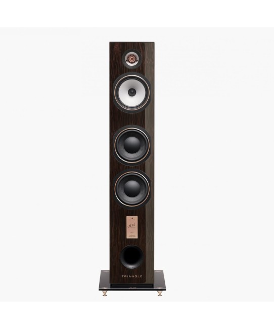 Triangle Antal EZ 40th anniversario diffusori floor standing hifi Triangle - 5