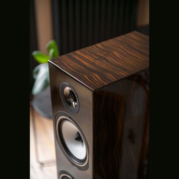 Triangle Antal EZ 40th anniversario diffusori floor standing hifi Triangle - 17