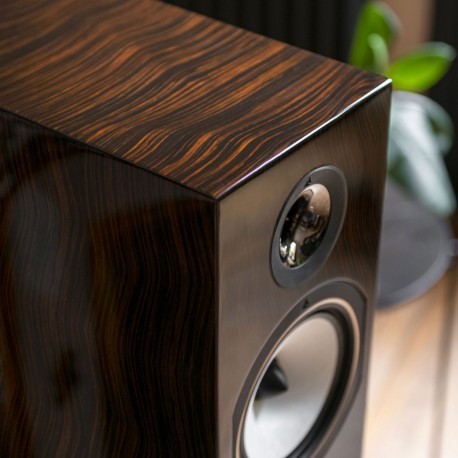 Triangle Antal EZ 40th anniversario diffusori floor standing hifi Triangle - 18