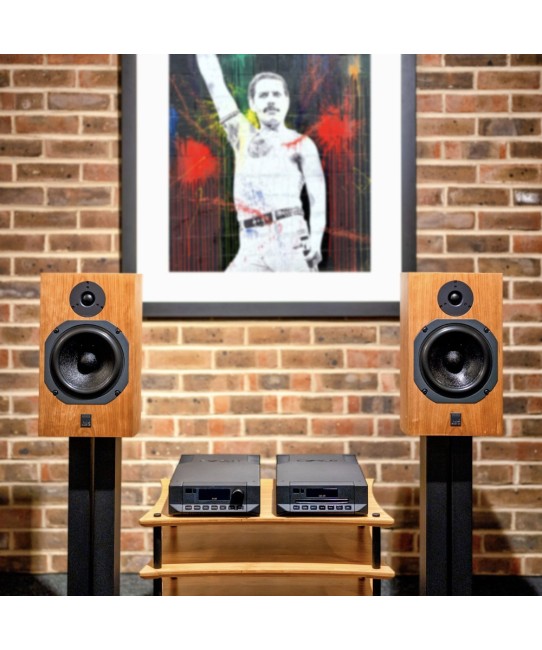 ATC SCM11 diffusori HiFi da scaffale ATC acoustic engineers - 10