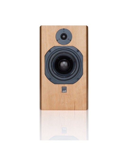 ATC SCM19 diffusori HiFi da scaffale di riferimento ATC acoustic engineers - 5