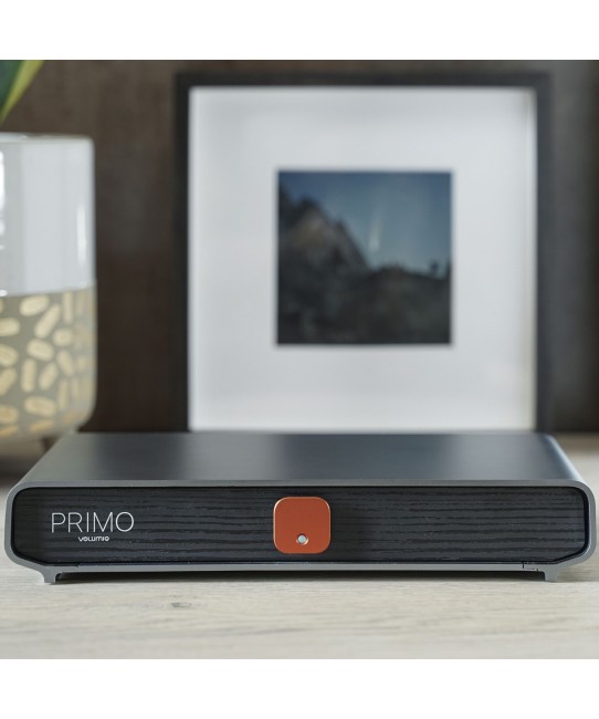Volumio Primo V2 - Streamer Audio HiFi con DAC Integrato Volumio - 5