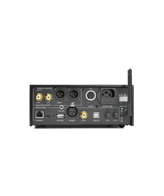 Gold Note DS-10 EVO - DAC streamer preamplificatore high end Gold Note - 4