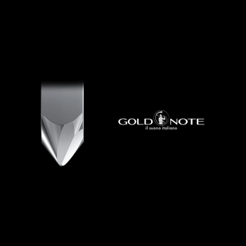 Gold Note Vasari SHIBATA testina giradischi MM Gold Note - 3