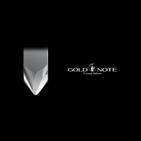 Gold Note Vasari SHIBATA testina giradischi MM Gold Note - 3