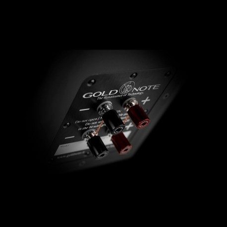 Gold Note A3 EVO II diffusori bookshelf high end Gold Note - 9