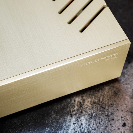 Gold Note PSU-10 EVO alimentazione esterna dedicata DS-10 EVO e DS-10 Gold Note - 12