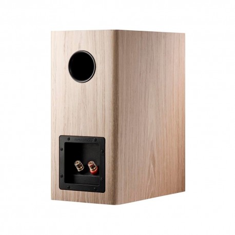 Dynaudio Evoke 20 diffusori hifi da scaffale Dynaudio - 14