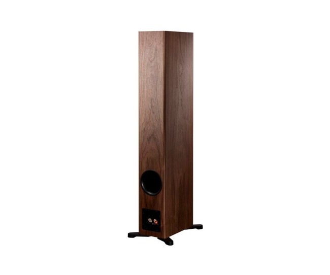 Dynaudio Evoke 50 diffusori hifi da pavimento Dynaudio - 2