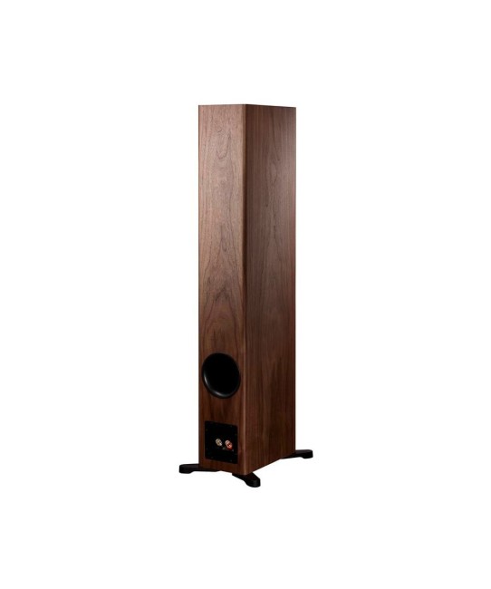 Dynaudio Evoke 50 diffusori hifi da pavimento Dynaudio - 2