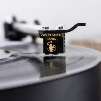 Gold Note Tuscany GOLD testina MC high end Gold Note - 5