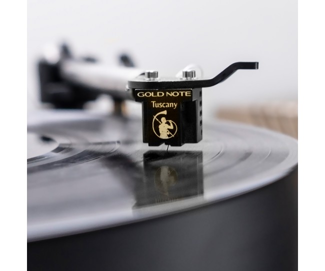 Gold Note Tuscany GOLD testina MC high end Gold Note - 5