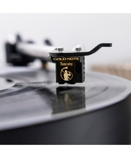 Gold Note Tuscany GOLD testina MC high end Gold Note - 5
