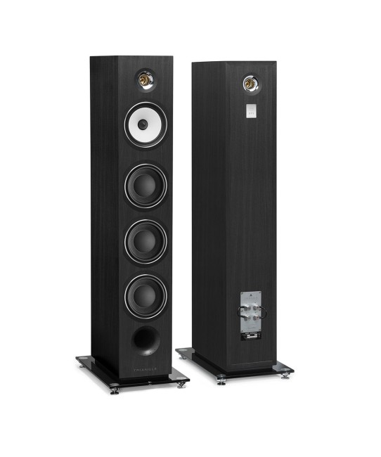 Triangle Australe EZ Diffusori da pavimento Triangle - 1