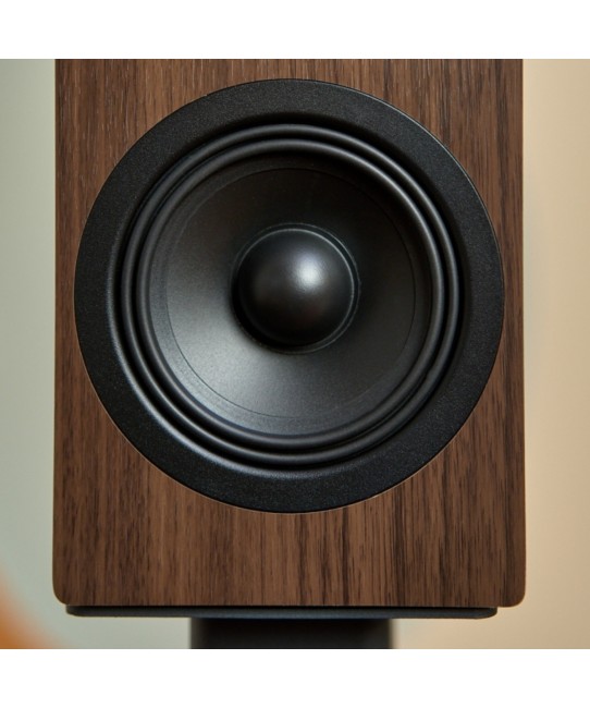 Indiana Line Tesi 2 diffusori compatti da scaffale Indiana Line - 5