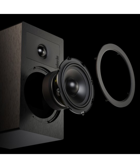 Indiana Line Tesi 2 diffusori compatti da scaffale Indiana Line - 7