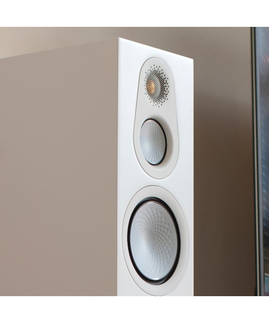 Monitor Audio Silver 300 7G - Diffusori HiFi da Pavimento Monitor Audio - 7