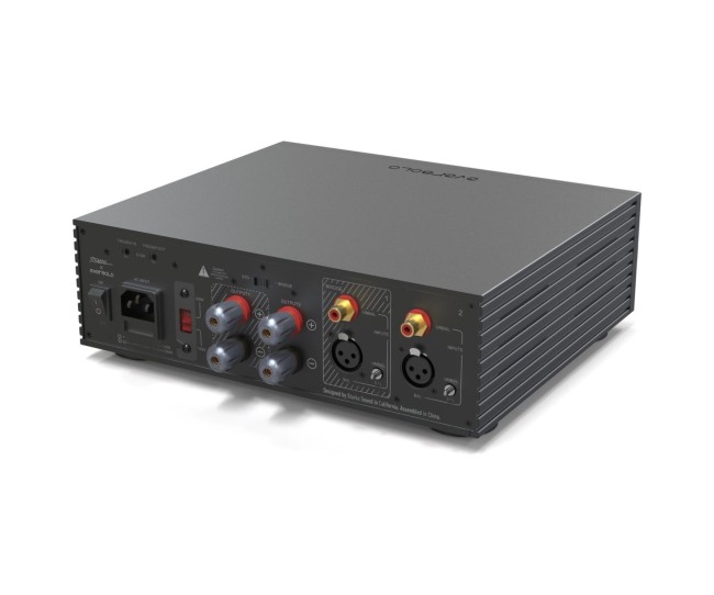 Eversolo AMP-F2 – Amplificatore di potenza stereo Classe D hi-fi Eversolo - 5