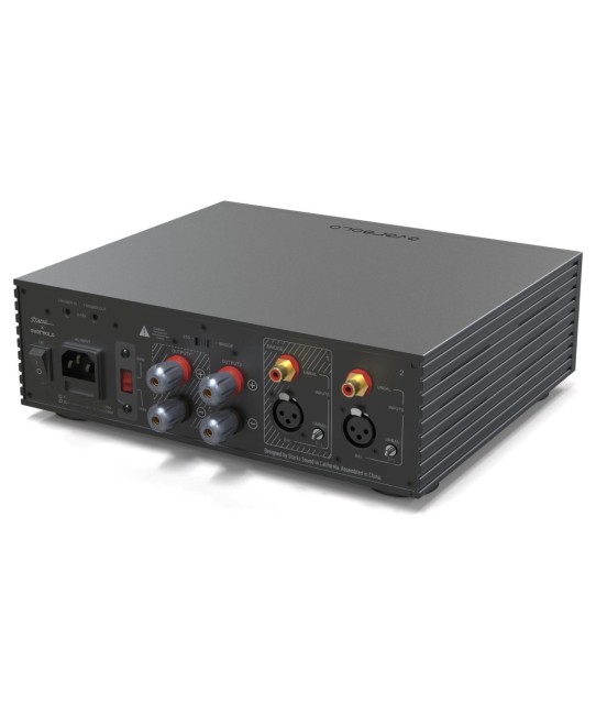 Eversolo AMP-F2 – Amplificatore di potenza stereo Classe D hi-fi Eversolo - 5