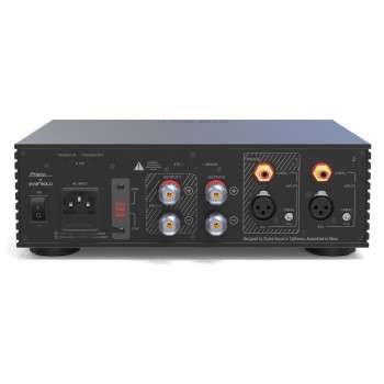 Eversolo AMP-F2 – Amplificatore di potenza stereo Classe D hi-fi Eversolo - 3