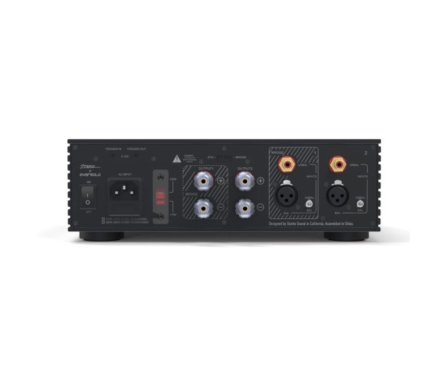 Eversolo AMP-F2 – Amplificatore di potenza stereo Classe D hi-fi Eversolo - 4