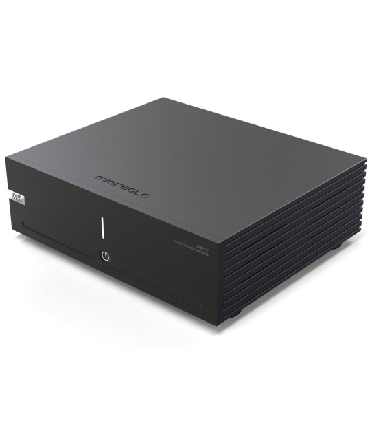 Eversolo AMP-F2 – Amplificatore di potenza stereo Classe D hi-fi Eversolo - 8