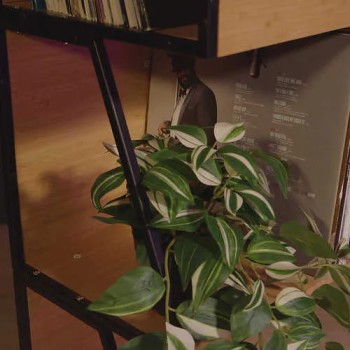 Norstone Vinyl LP Case – Cassa Porta Vinili 2 in 1 | 80 LP Norstone - 11