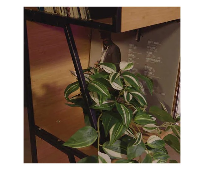 Norstone Vinyl LP Case – Cassa Porta Vinili 2 in 1 | 80 LP Norstone - 11