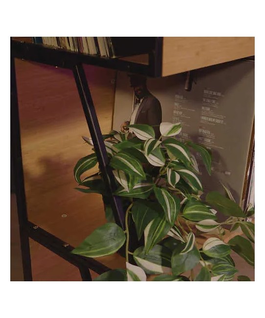 Norstone Vinyl LP Case – Cassa Porta Vinili 2 in 1 | 80 LP Norstone - 11