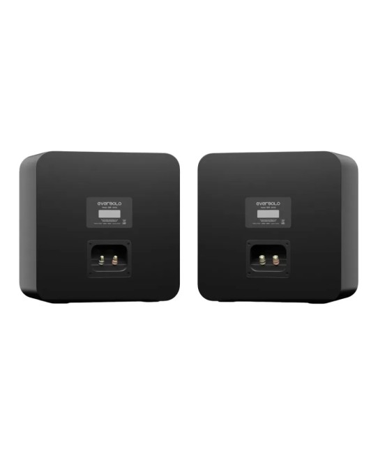 Eversolo SE100 – Coppia di Diffusori da Scaffale Eversolo - 3