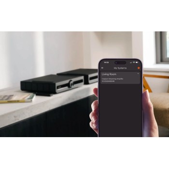 Roksan Caspian 4G – Amplificatore Streaming Integrato Hi-Res con BluOS Roksan - 10