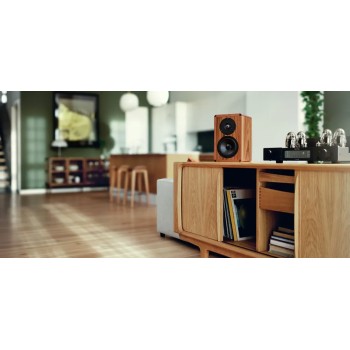 Dynaudio Legend – Diffusore da Scaffale Artigianale Dynaudio - 8