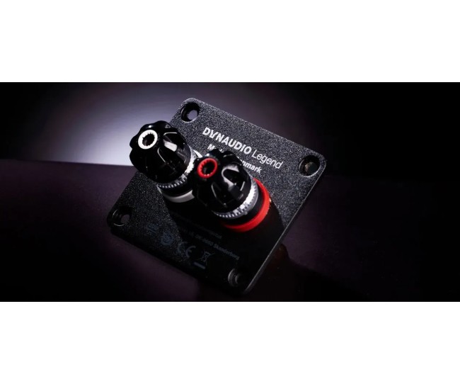 Dynaudio Legend – Diffusore da Scaffale Artigianale Dynaudio - 11