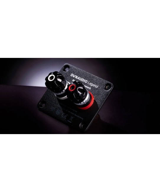 Dynaudio Legend – Diffusore da Scaffale Artigianale Dynaudio - 11