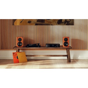 Dynaudio Legend – Diffusore da Scaffale Artigianale Dynaudio - 5