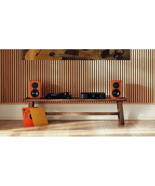 Dynaudio Legend – Diffusore da Scaffale Artigianale Dynaudio - 5