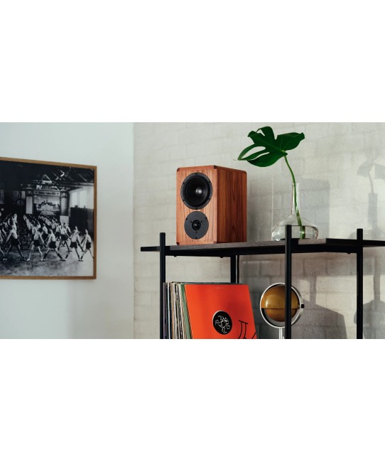 Dynaudio Legend – Diffusore da Scaffale Artigianale Dynaudio - 7