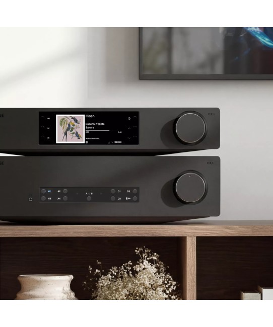 Cambridge Audio CXN100 SE – Streamer di Rete Hi-Res Cambridge Audio - 14