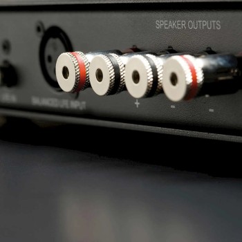 Monitor Audio IWA-250 – Amplificatore per Subwoofer da Parete IWS-10 Monitor Audio - 3