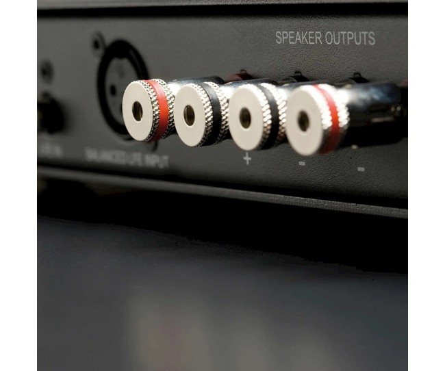 Monitor Audio IWA-250 – Amplificatore per Subwoofer da Parete IWS-10 Monitor Audio - 3