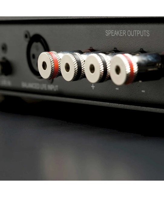 Monitor Audio IWA-250 – Amplificatore per Subwoofer da Parete IWS-10 Monitor Audio - 3