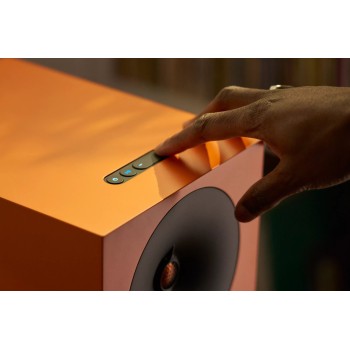 Cambridge Audio L/R X – Diffusori Attivi Streaming 2.5-Way 800W Cambridge Audio - 34