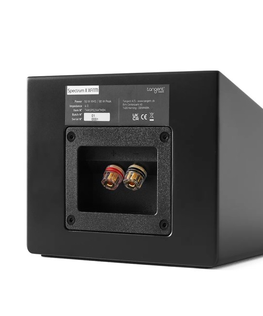 Tangent Spectrum II XATM – Diffusori Atmos Tangent Audio - 3