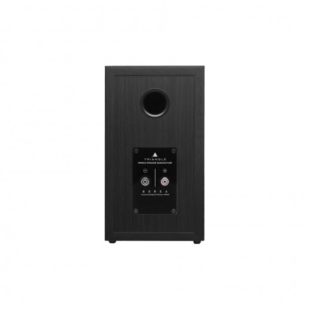 Triangle Borea BR02 diffusori da scaffale Triangle - 17