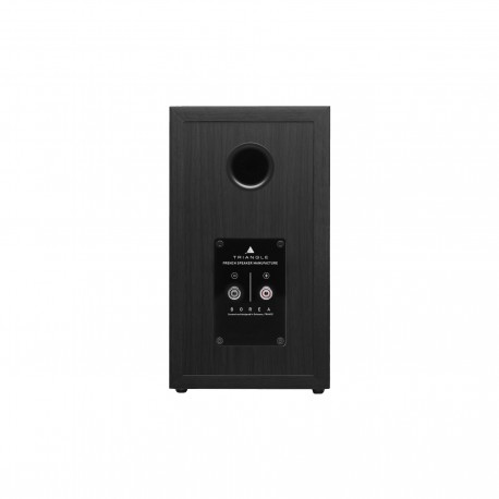 Triangle Borea BR02 diffusori da scaffale Triangle - 17