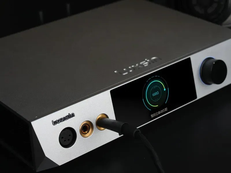 Luxsin Audio X9 – pannello posteriore con connessioni