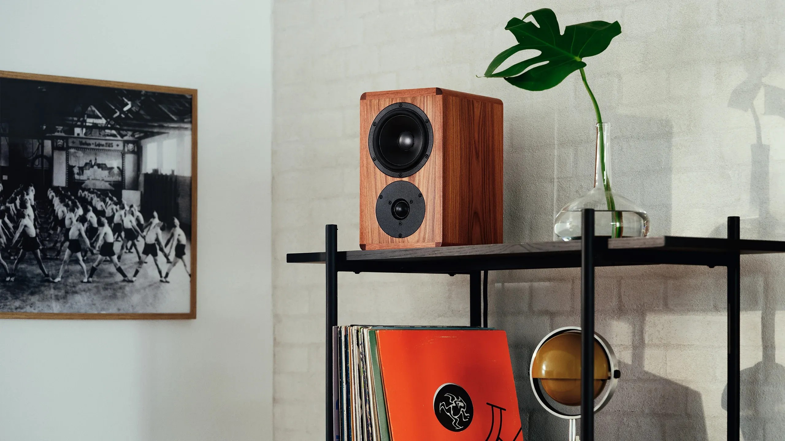 Dynaudio Legend – dettaglio woofer MSP 15 cm e bass port dual-flared posteriore